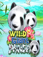 รู้ให้ชัด! สล็อตคาสิโนฟรีเครดิต เล่นง่ายได้เงินจริง